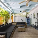 Coconut Palm