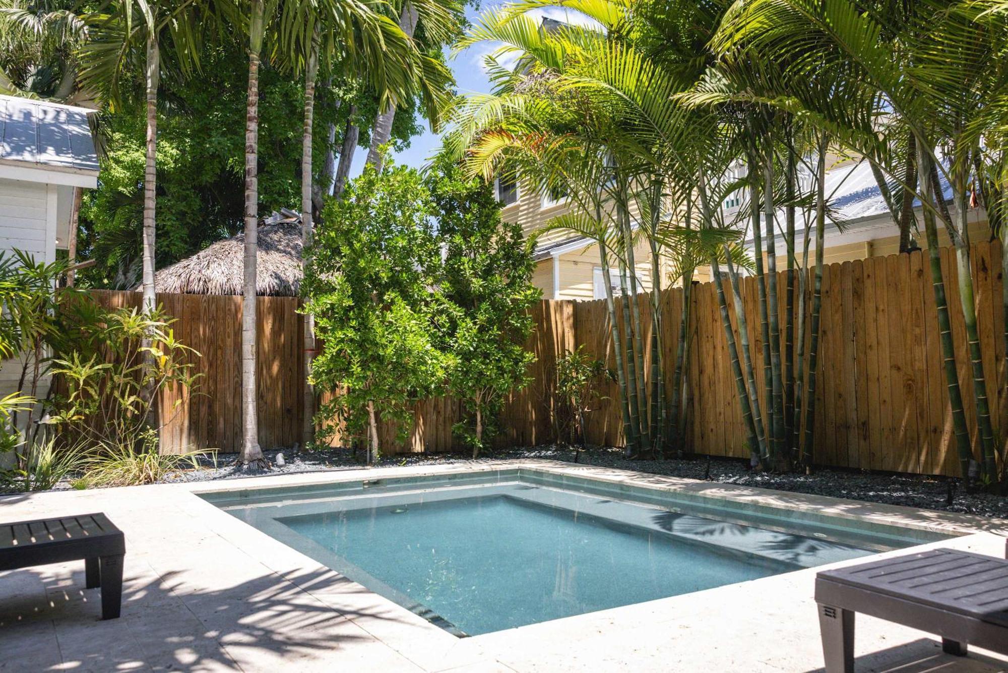 Coconut Palm Ferienhaus *